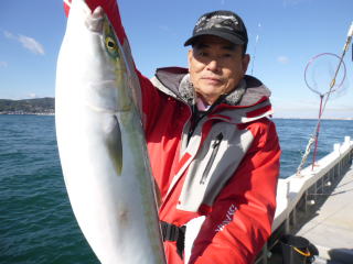 メジロ釣果