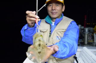 アオリイカ エギ釣り