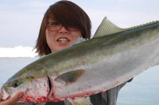 メジロ喰わせ釣り