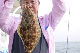 鰯の喰わせ釣り