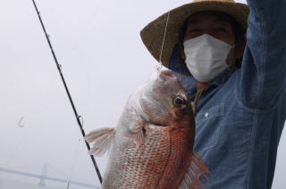 真鯛　食わせサビキ