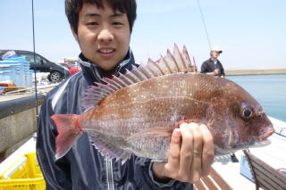 真鯛サビキ
