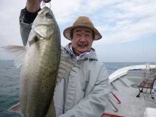 シーバス