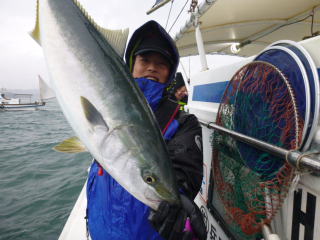 鰤 釣果