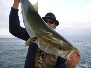 ブリ 釣果