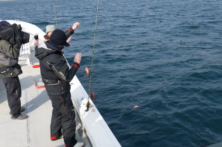 根魚釣り