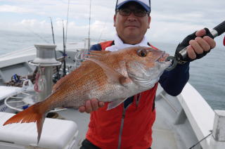 真鯛 かからし釣り