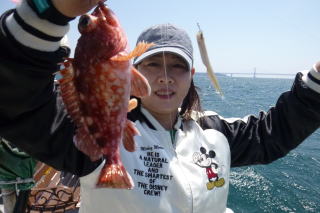 ガシラ 根魚釣り