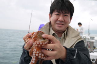 タコ