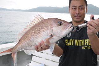 真鯛 落とし込み