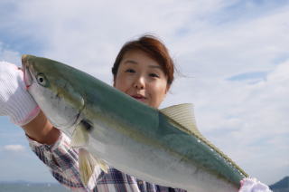 メジロ釣果　喰わせサビキ