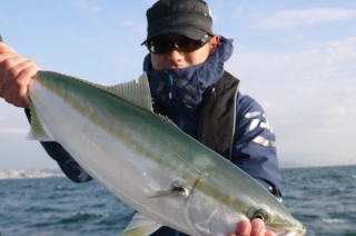 青物釣り　泳がせ釣り