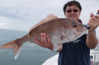 60cm真鯛