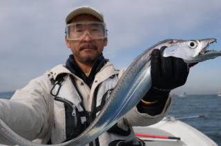 ドラゴン太刀魚