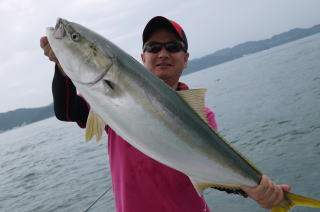 鰤　呑ませ釣り