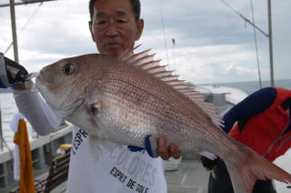 65cm真鯛