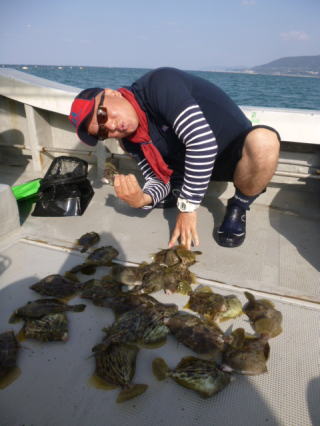 カワハギ釣果