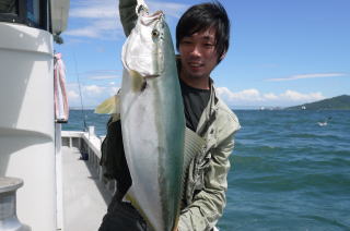 喰わせサビキ　青物　鰤