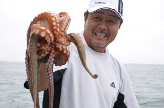 明石たこ