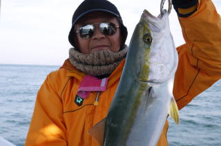 メジロ釣果呑ませ釣り