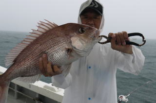 大鯛　食わせサビキ