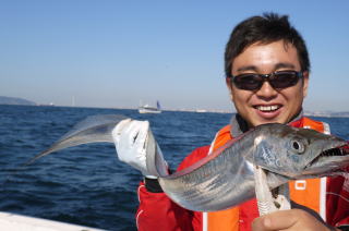 イワシの太刀魚釣り