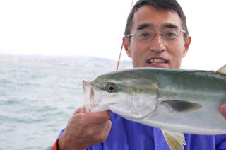 ハマチ釣果