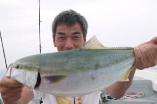 ハマチ落としこみ釣り