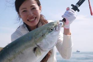 鰤 呑ませ釣り 釣果