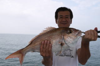 鯛つり　鰯の喰わせ立て釣り