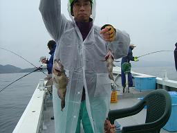 メバル釣り