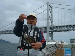 釣果 メバル