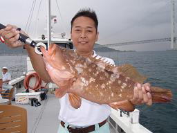 アコウ釣り