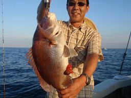 釣果 真鯛