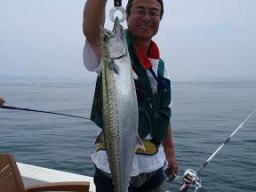呑ませ釣り さわら