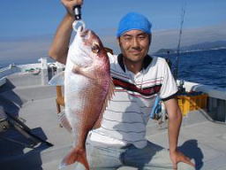 鳴門 真鯛釣り
