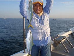 ハマチ 食わせ釣り