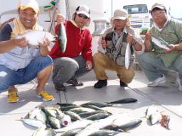青物釣果