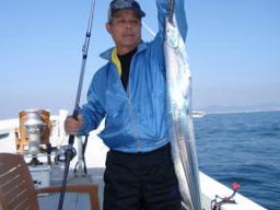 太刀魚