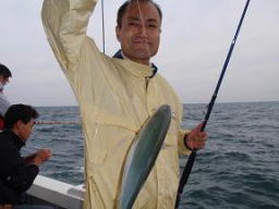 青物 呑ませ釣り