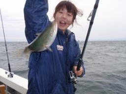 青物 ハマチ