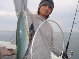 ハマチ釣り