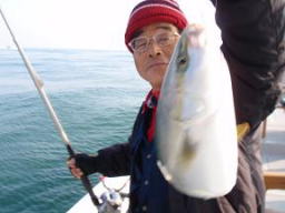 ハマチ釣り