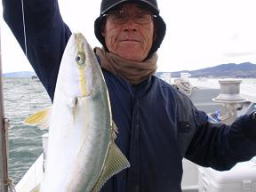 ハマチ飲ませ釣り