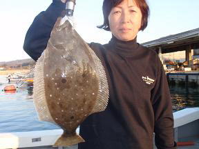 ヒラメ釣り