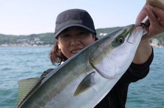 青物 呑ませ釣り