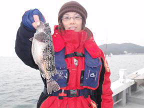 ソイ釣り