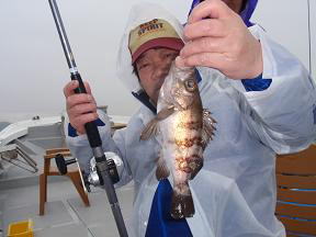 メバルつり