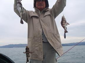 メバル ガシラ サビキ釣り