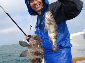 鳴門メバル釣り